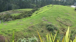 2180039_1.jpg