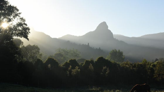 2180261_2.jpg