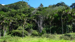 2200106_1.jpg
