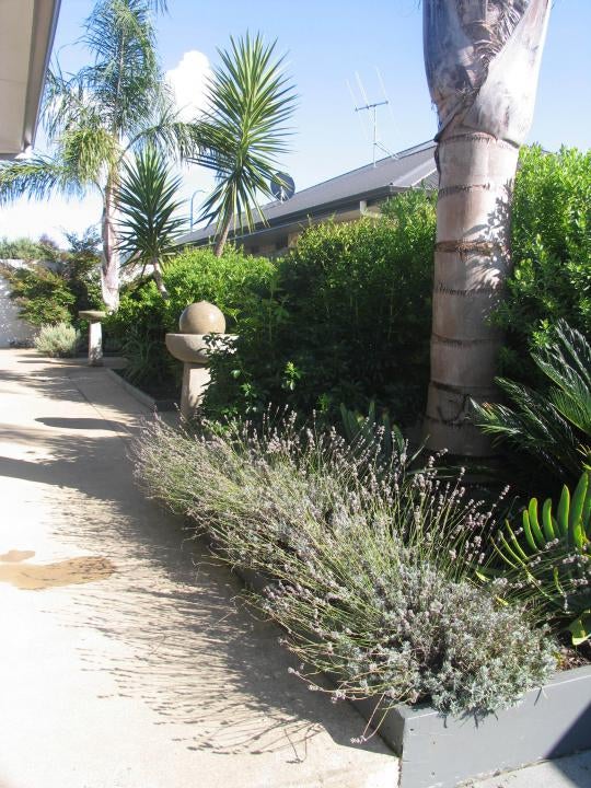 2200155_2.jpg