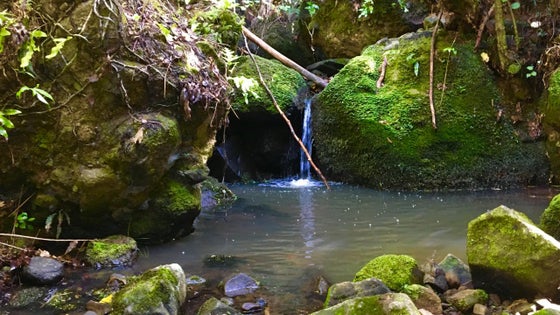 2200399_3.jpg