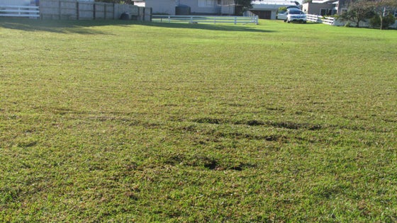 2200435_2.jpg