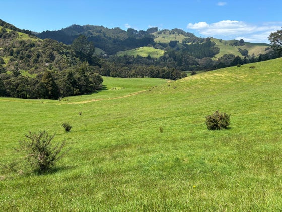 2202241_3.jpg