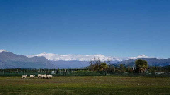 222500_3.jpg