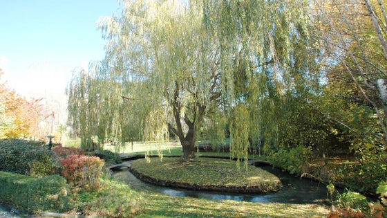 222638_2.jpg