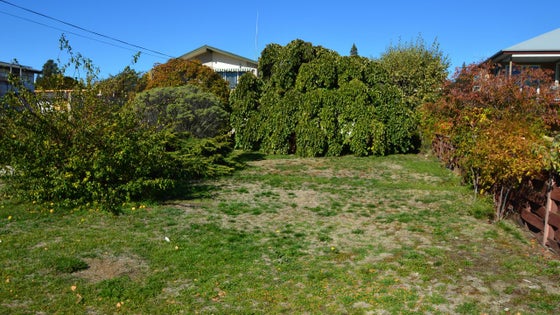 223512_2.jpg