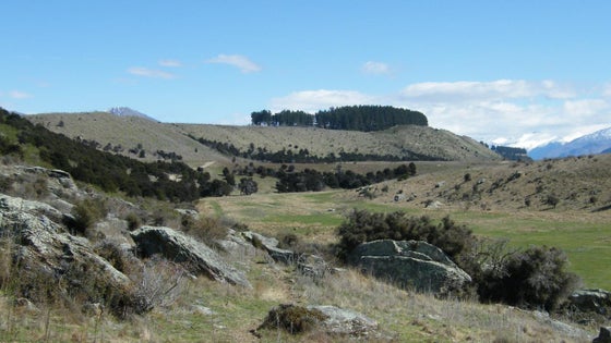 223559_3.jpg