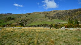 223571_1.jpg