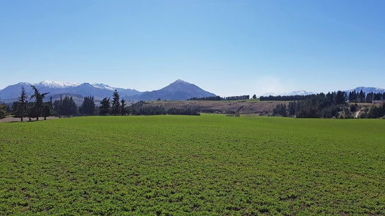 223684_3.jpg