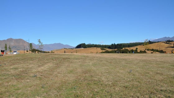 224645_3.jpg