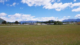 225004_1.jpg