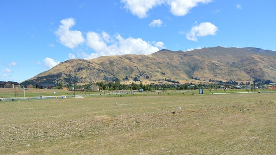 225061_3.jpg