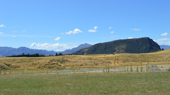 225073_3.jpg