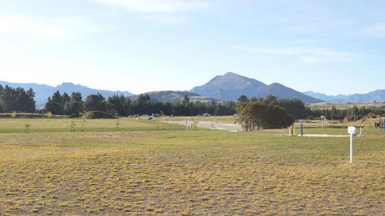 225162_3.jpg
