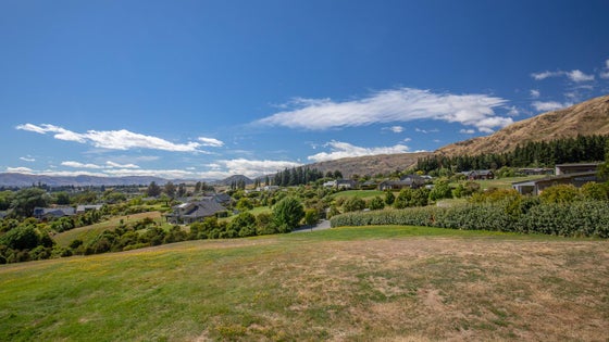 225165_3.jpg