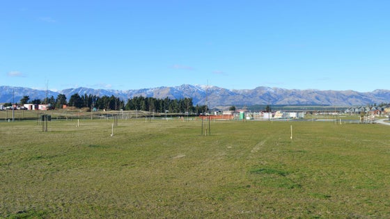 225220_2.jpg