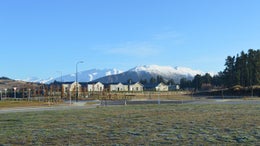 225226_1.jpg
