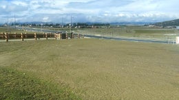 226139_1.jpg