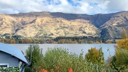 226208_1.jpg