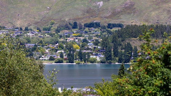 226267_2.jpg