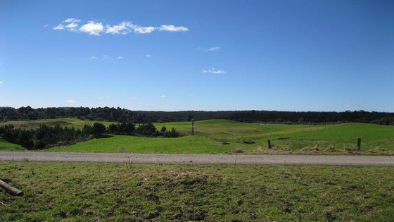 2300747_3.jpg