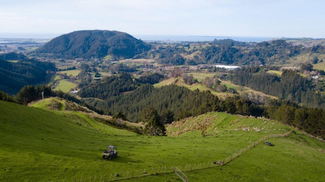 Rural Asking Price NZ$1,595,000 + GST: Welcome Bay, Welcome Bay ...