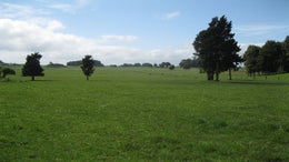 2301817_1.jpg