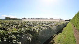 2303943_1.jpg