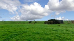 2310064_1.jpg