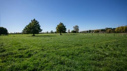 2310490_1.jpg