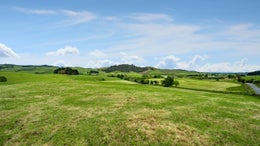 2310946_1.jpg