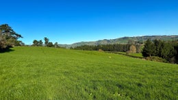 2315864_1.jpg