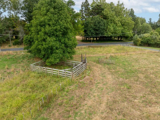 2316503_3.jpg
