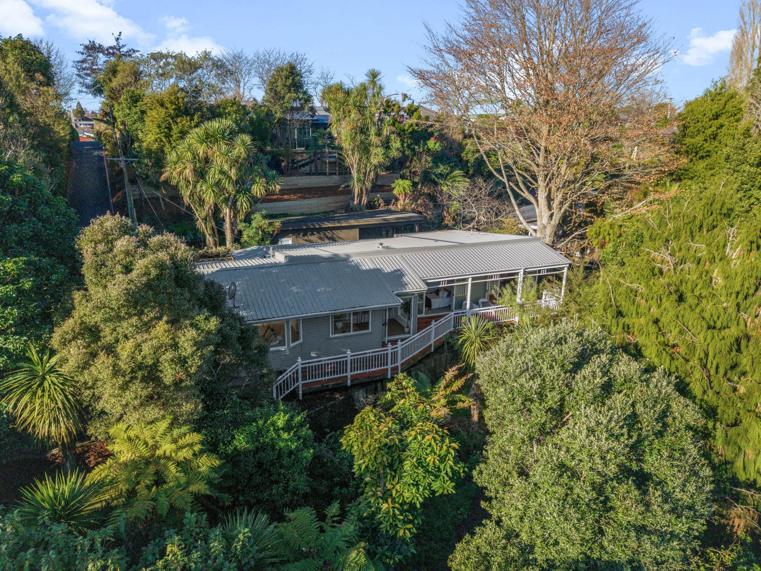 Photo 29 of 17 MacFarlane Street, Hamilton East, Hamilton