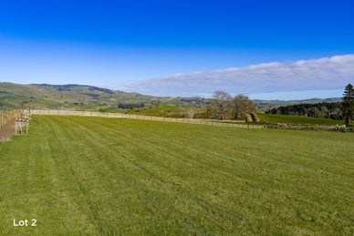 2317302_1.jpg