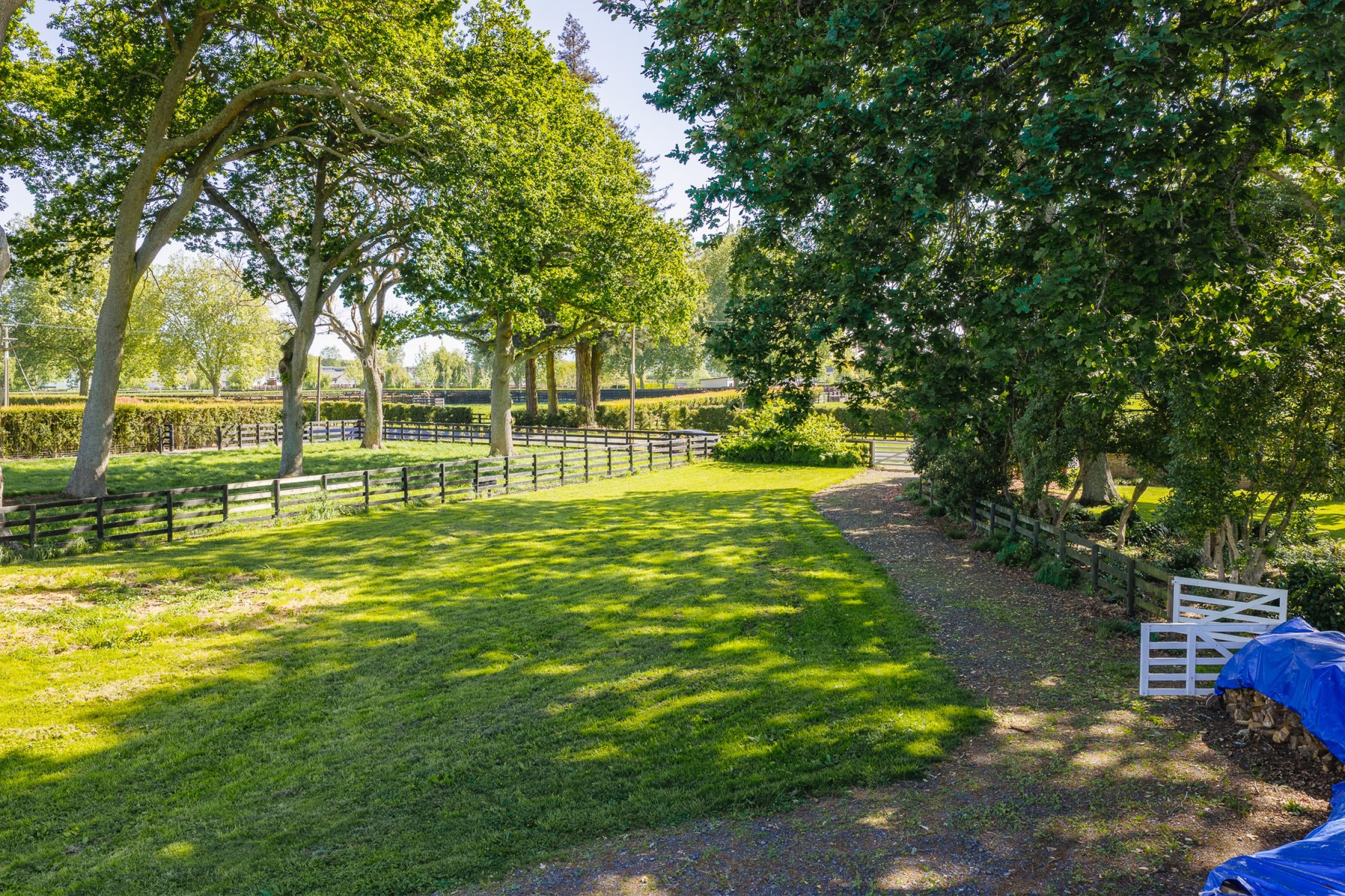 Photo 43 of 91 Discombe Road, Tamahere, Hamilton
