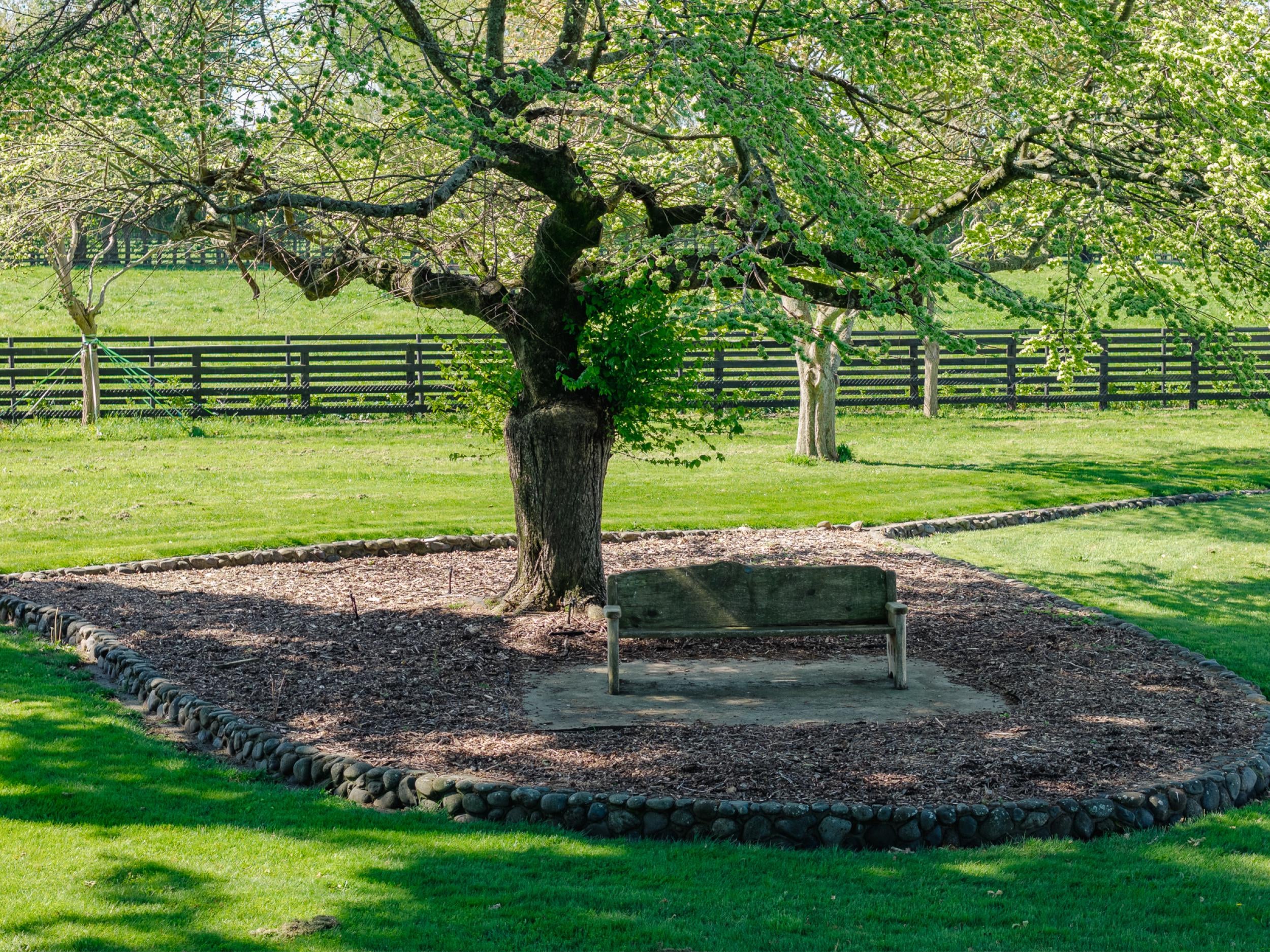 Photo 44 of 91 Discombe Road, Tamahere, Hamilton
