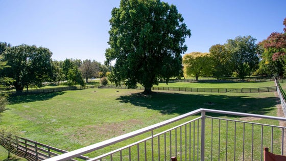 2350091_2.jpg