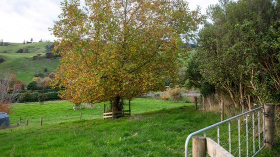 2350266_3.jpg