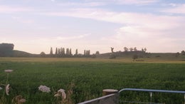 2350420_1.jpg