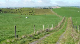 2400017_1.jpg