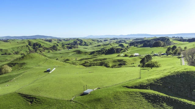 Rural Auction: 189 Pahihi Road, Tirau, South Waikato | Bayleys