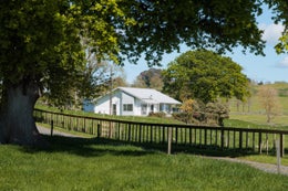 2401096_1.jpg