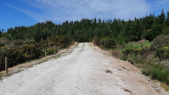 2450004_2.jpg