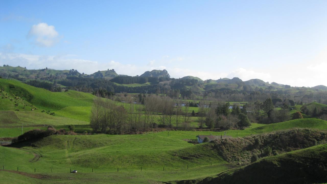 2450186_1.jpg