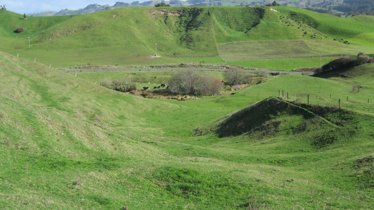 2450186_10.jpg