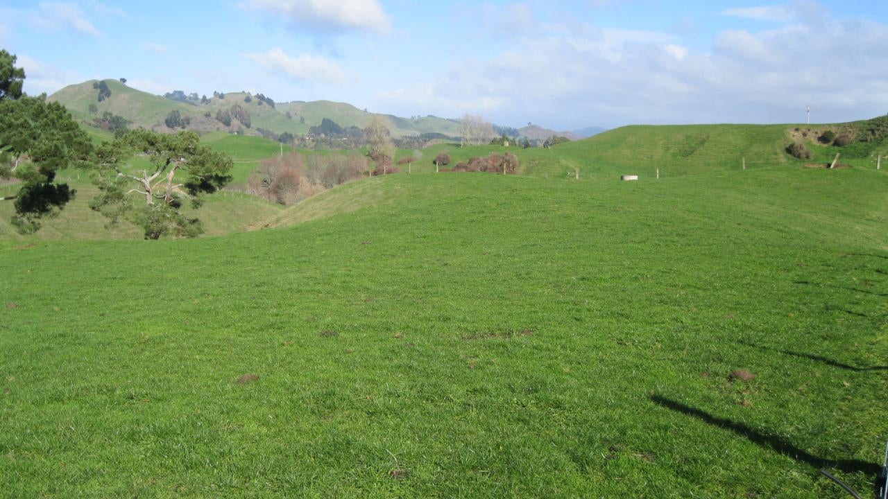 2450186_3.jpg