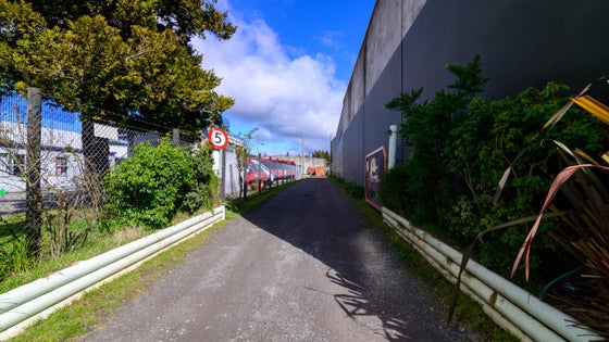 2450197_3.jpg