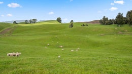 2450536_1.jpg