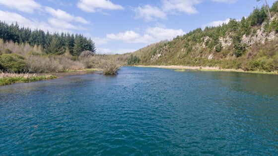 2450537_3.jpg
